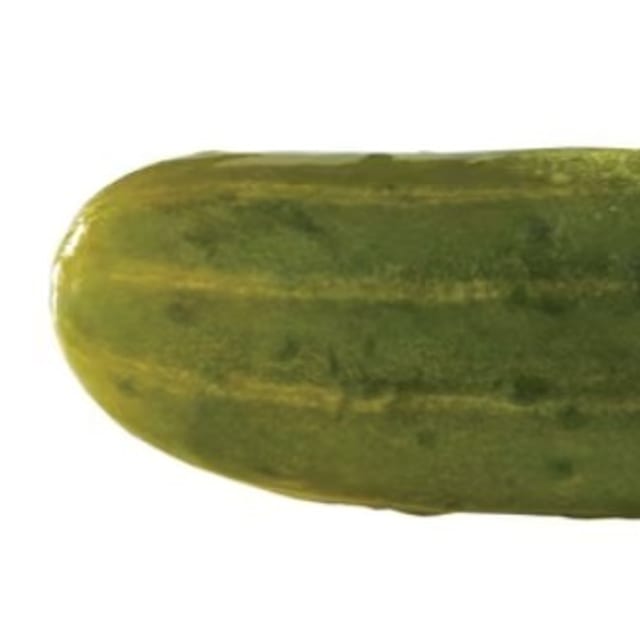 Large Kosher Pickle.